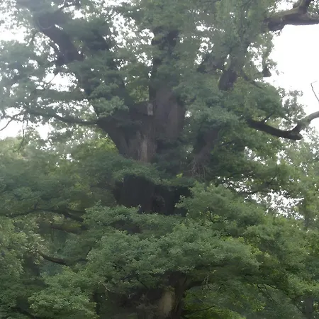 아파트 In Ivenack, Eg Ivenack